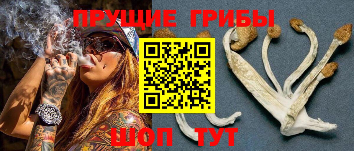Альметьевск  Псилоцибиновые грибы мицелий  Галлюциногенные грибы MAGIC MUSHROOMS  наркошоп  Вход с VPN 
